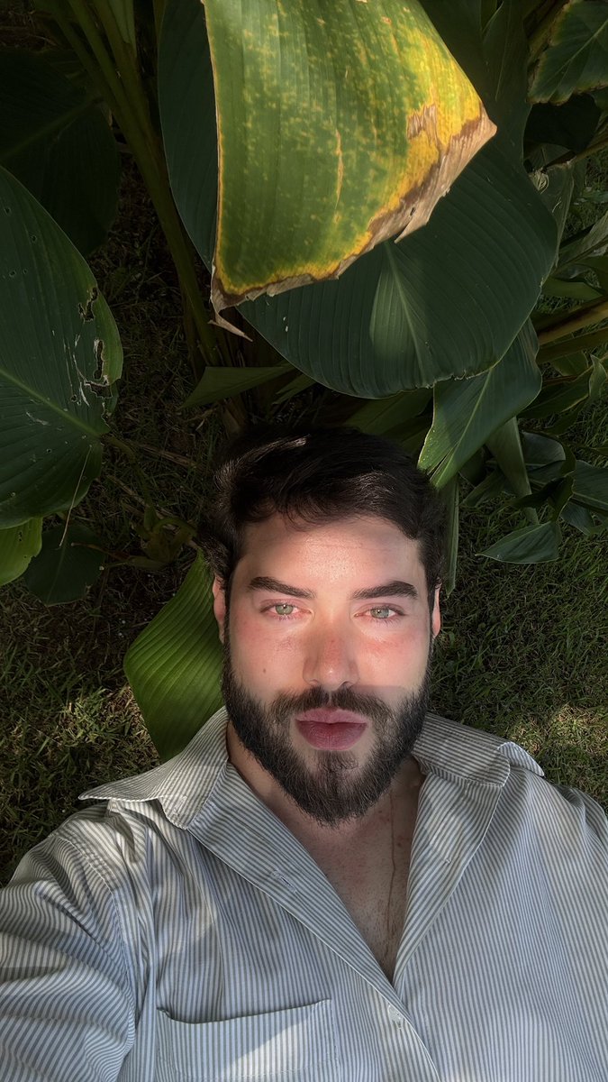 BrazFernandess's tweet photo. Sol, manhã de flores https://t.co/WXqpTp2x6U