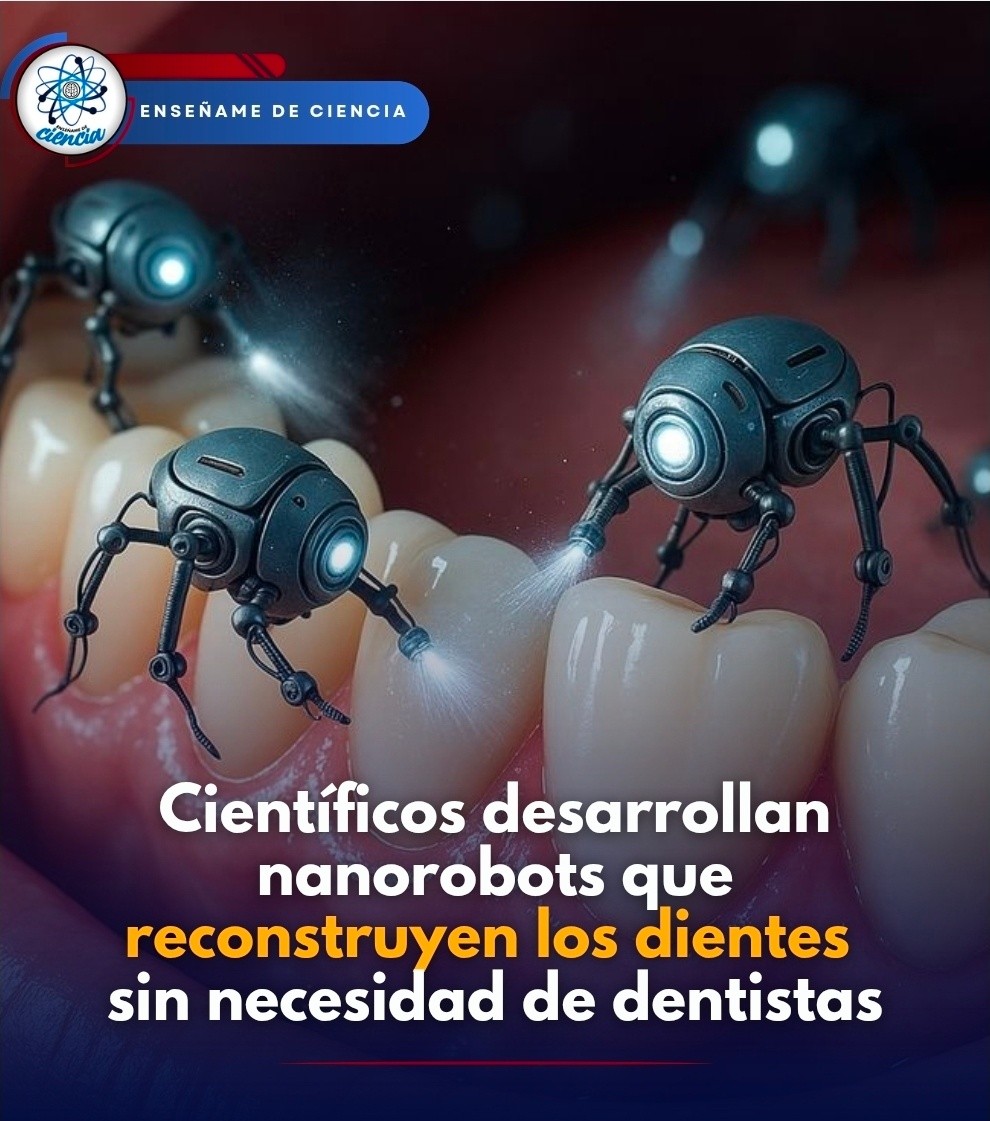Enséñame de Ciencia tweet media