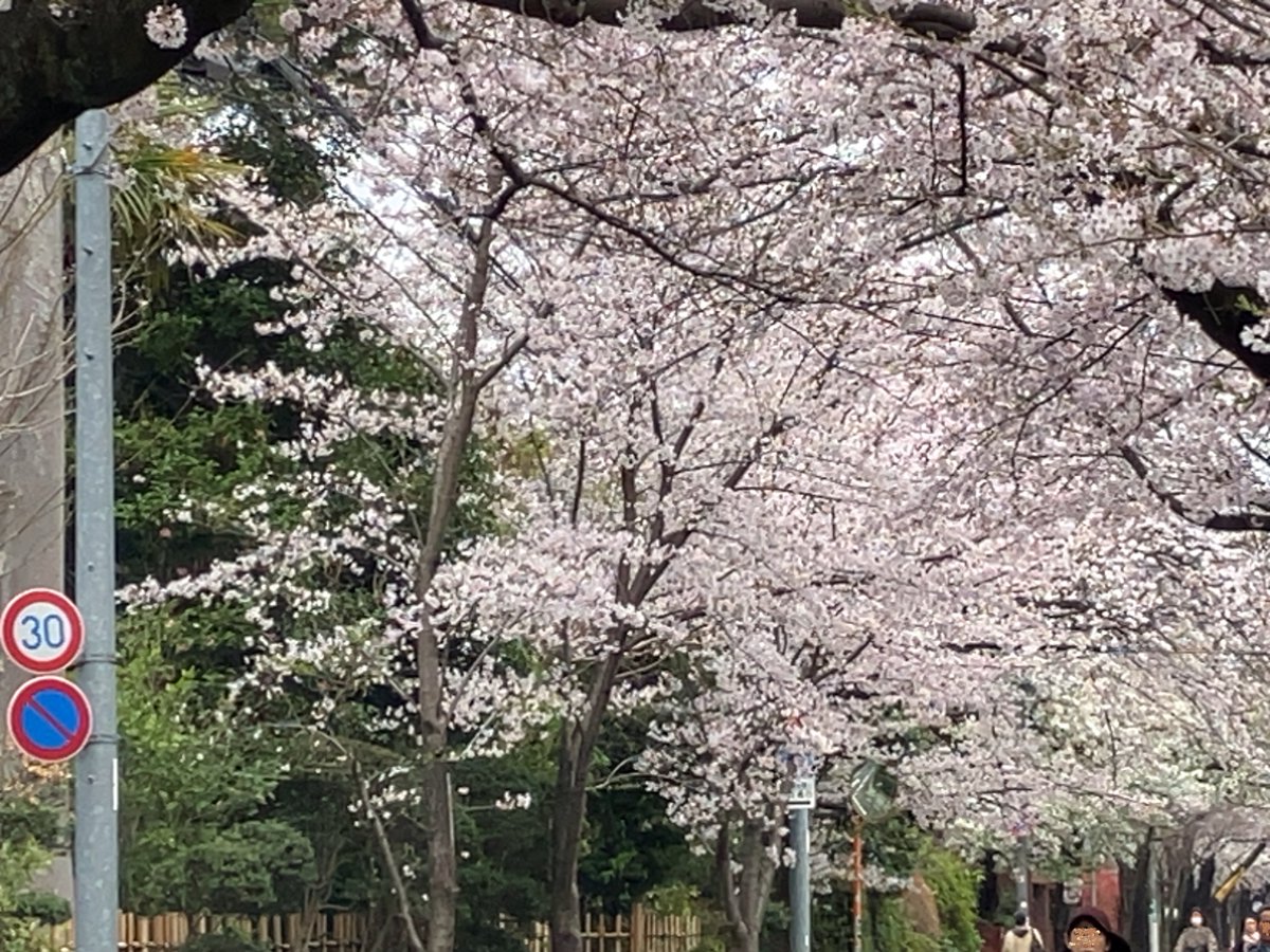 樫尾俊雄発明記念館✍【公式】- CASIOを生んだ叡智の泉 - tweet media