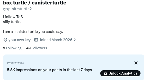 box turtle / canisterturtle tweet media