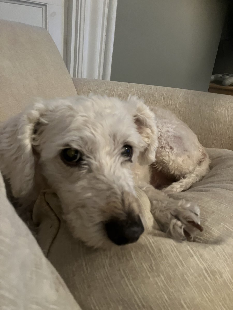 Jeffrey Vallese tweet media