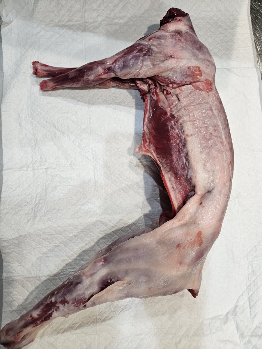 T.Kamizuki tweet media