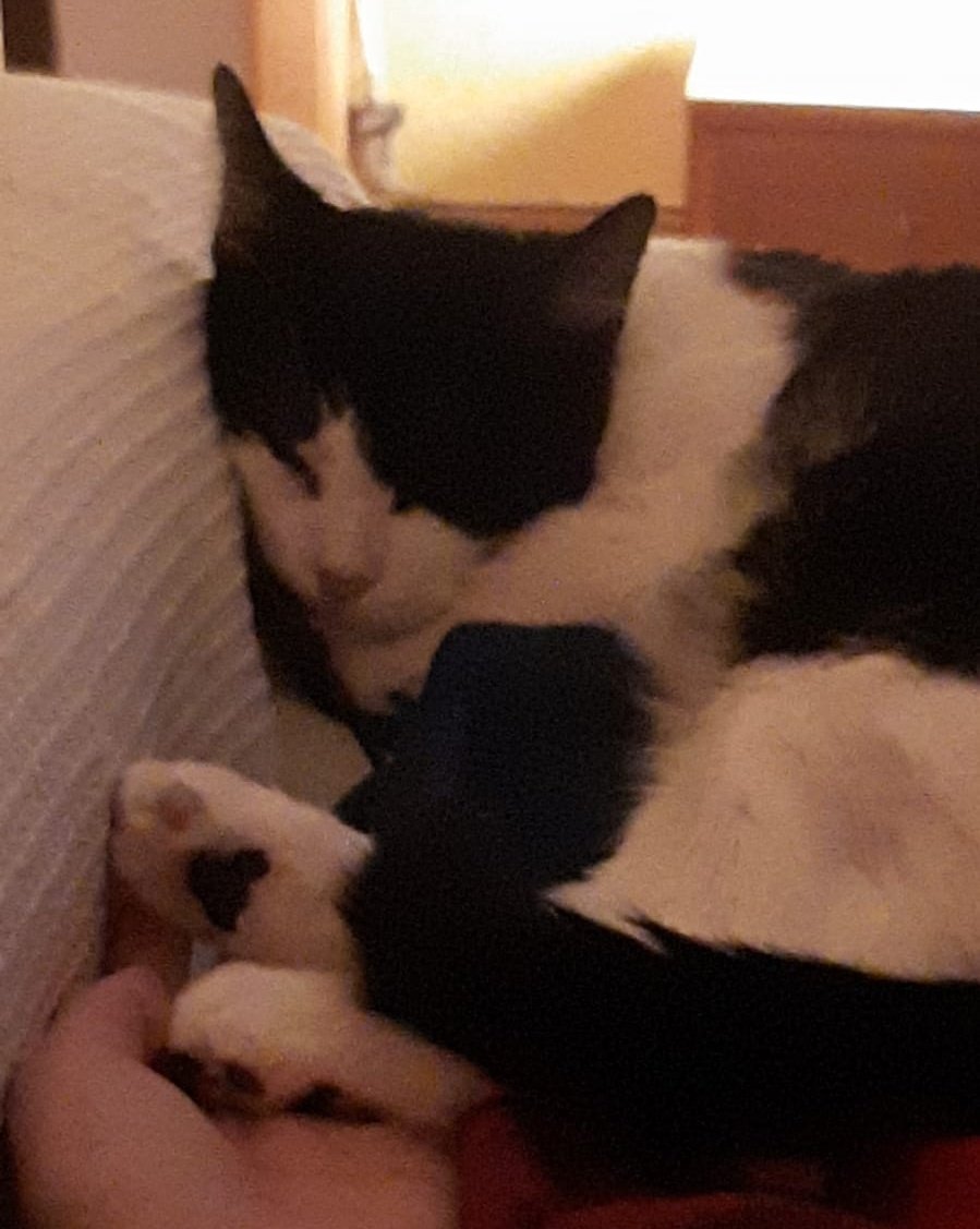 𓏲࣪𝑫𝐚𝐧𝐭𝐞 ִֶָ ִֶָ 🥀 tweet media