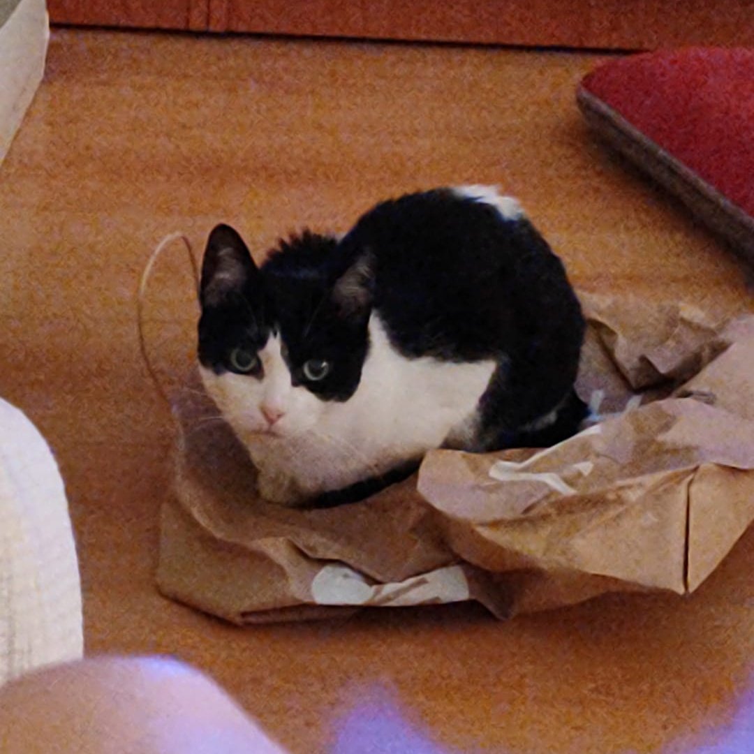 𓏲࣪𝑫𝐚𝐧𝐭𝐞 ִֶָ ִֶָ 🥀 tweet media