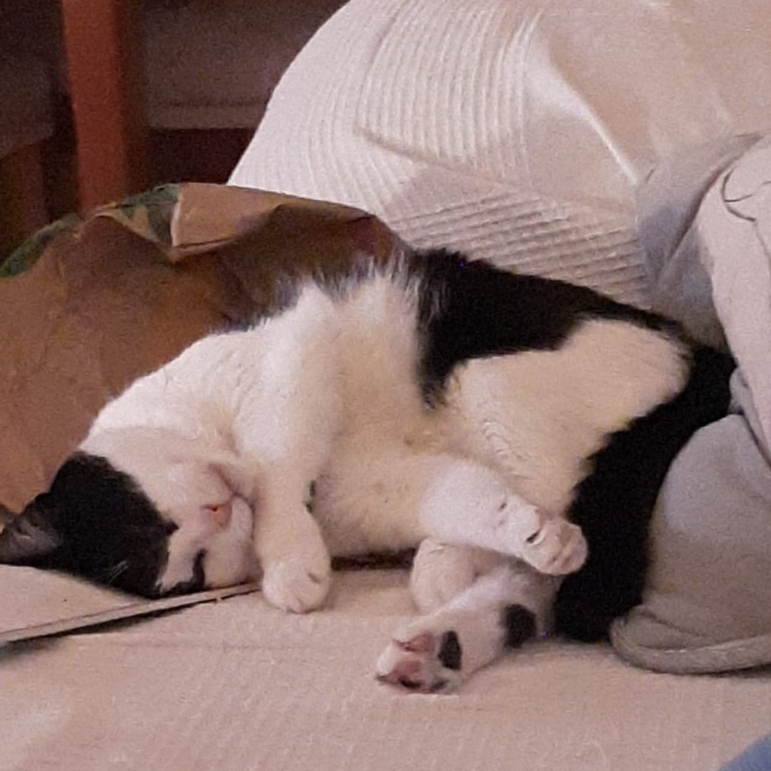 𓏲࣪𝑫𝐚𝐧𝐭𝐞 ִֶָ ִֶָ 🥀 tweet media