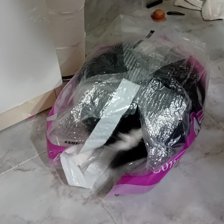 𓏲࣪𝑫𝐚𝐧𝐭𝐞 ִֶָ ִֶָ 🥀 tweet media