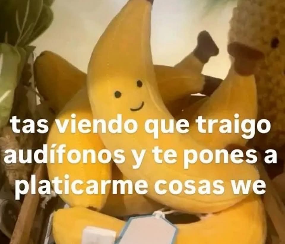 Animalitos en aprietos. tweet media