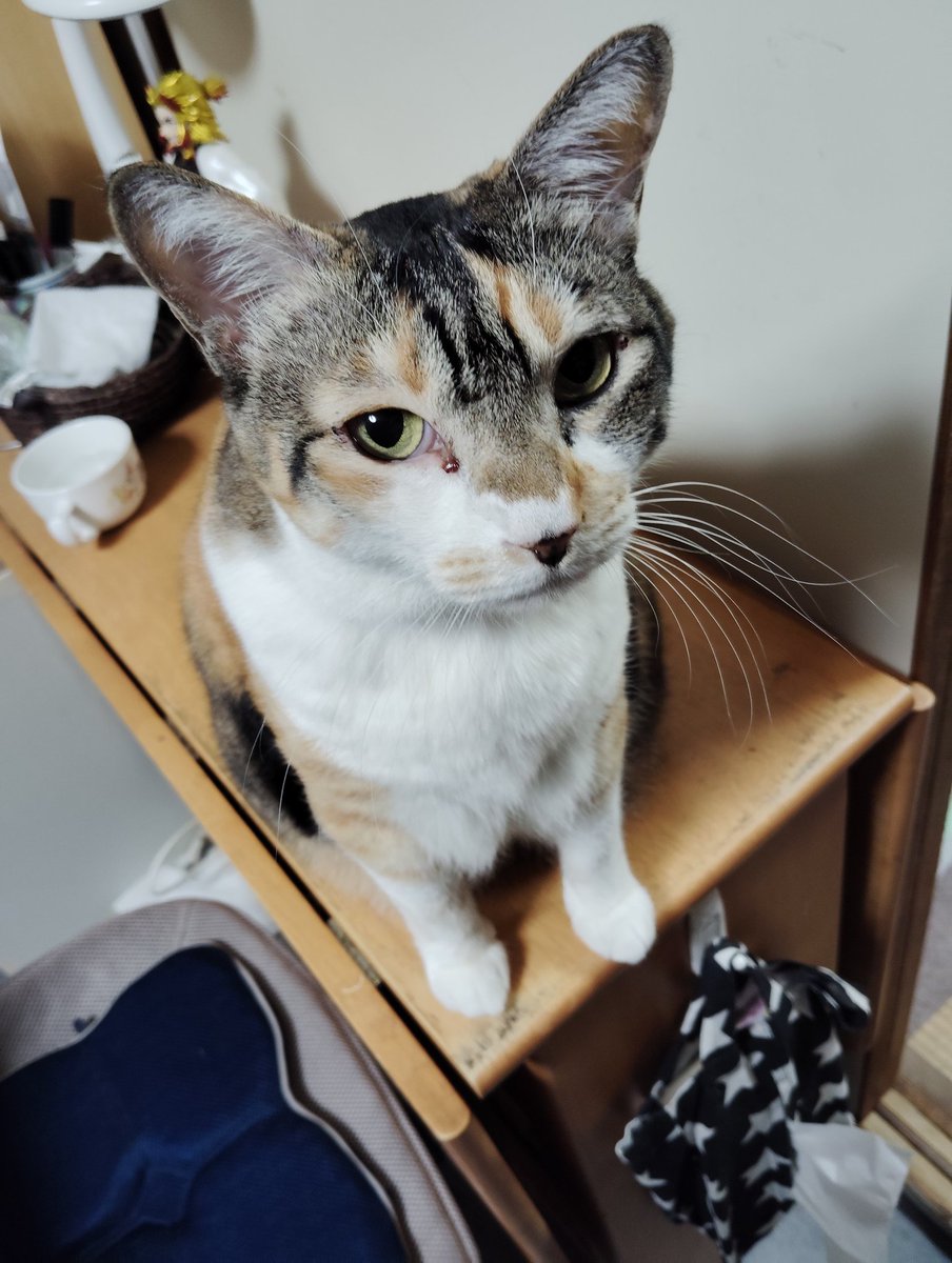 カナガワTM364/湘南Es364 tweet media