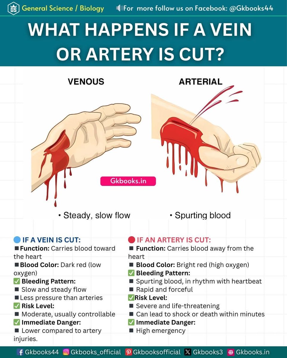 ⋆·˚ ༘ *вυηηуяєє∂υѕ₊˚⊹ 𐂯 tweet media