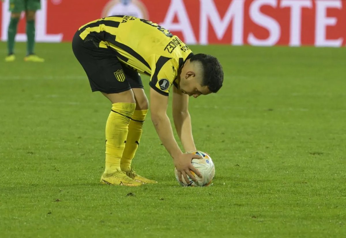 EMI MÁRQUEZ EVERETT tweet media