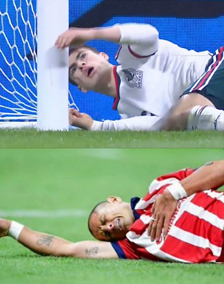 Gato de Tlalpan ®️ 🏆²⁰ tweet media