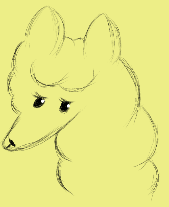 Feco | Alpaca Butler 🦙 tweet media