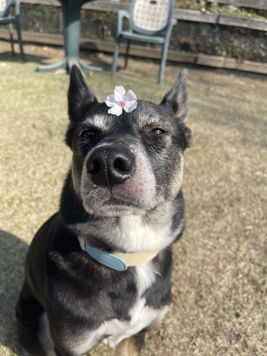 水野有彩 tweet media