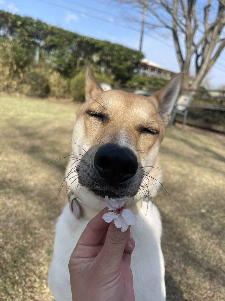 水野有彩 tweet media