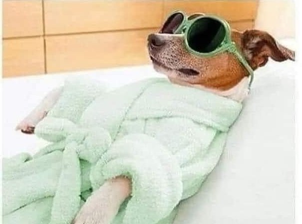 Just Great tweet media