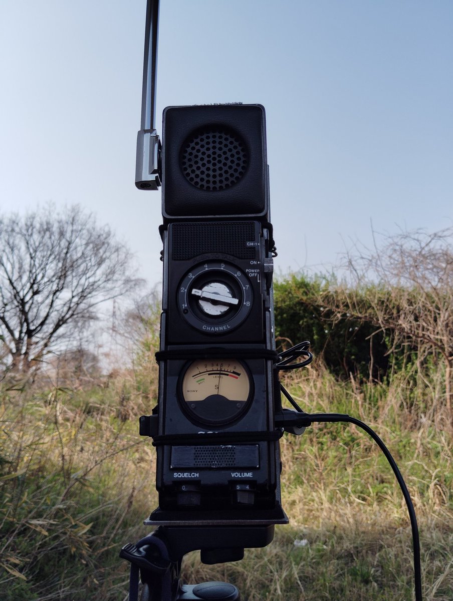 カナガワTM364/湘南Es364 tweet media