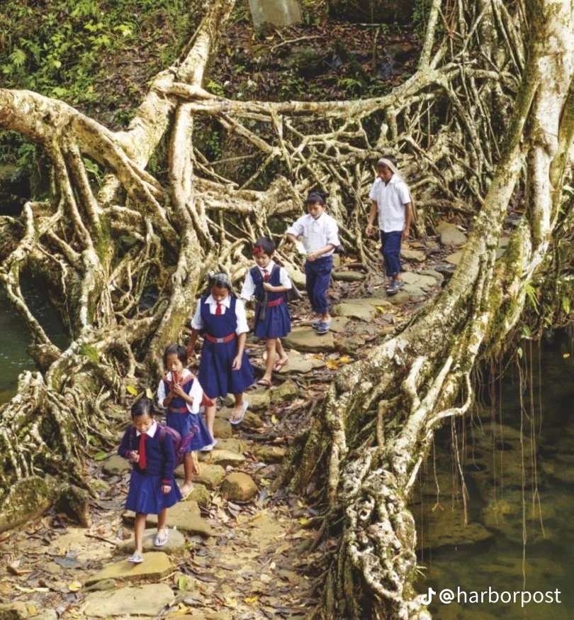 Gabriel Mayan Peter🇯🇵🇺🇸🇳🇬 tweet media