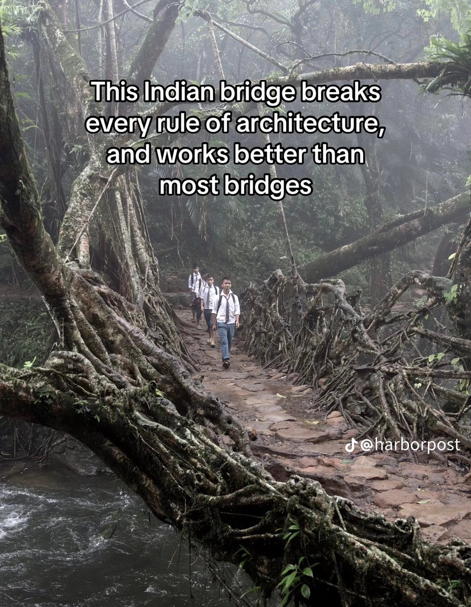 Gabriel Mayan Peter🇯🇵🇺🇸🇳🇬 tweet media