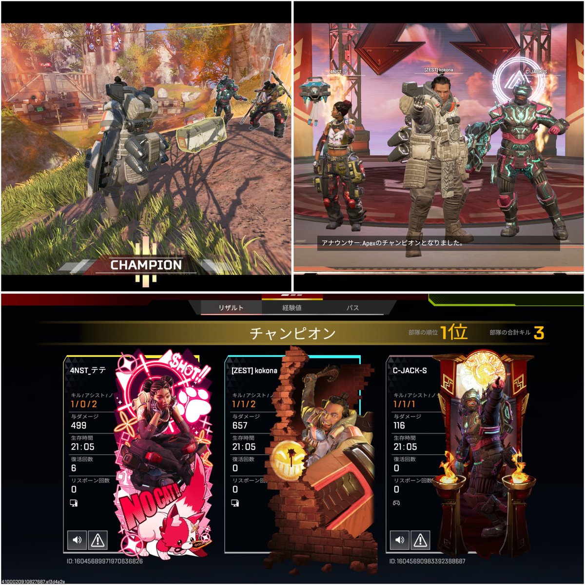 ここにゃん✾𝕶✾ tweet media