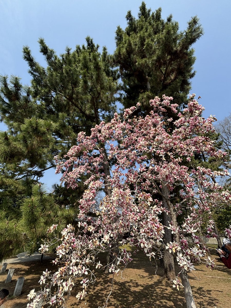 walkride〈とばっち〉 tweet media