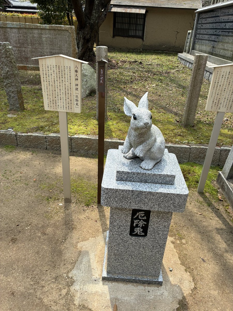 ふーずぅ tweet media