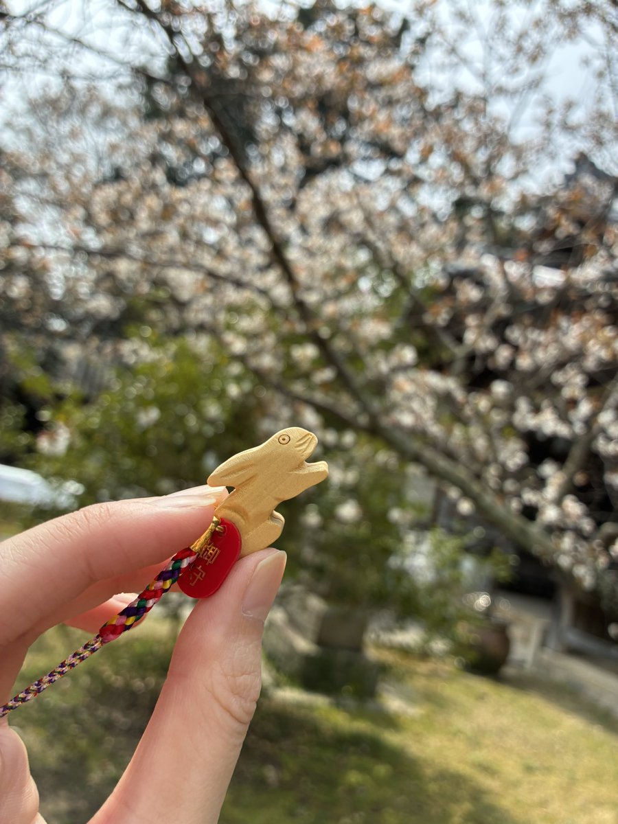 ふーずぅ tweet media