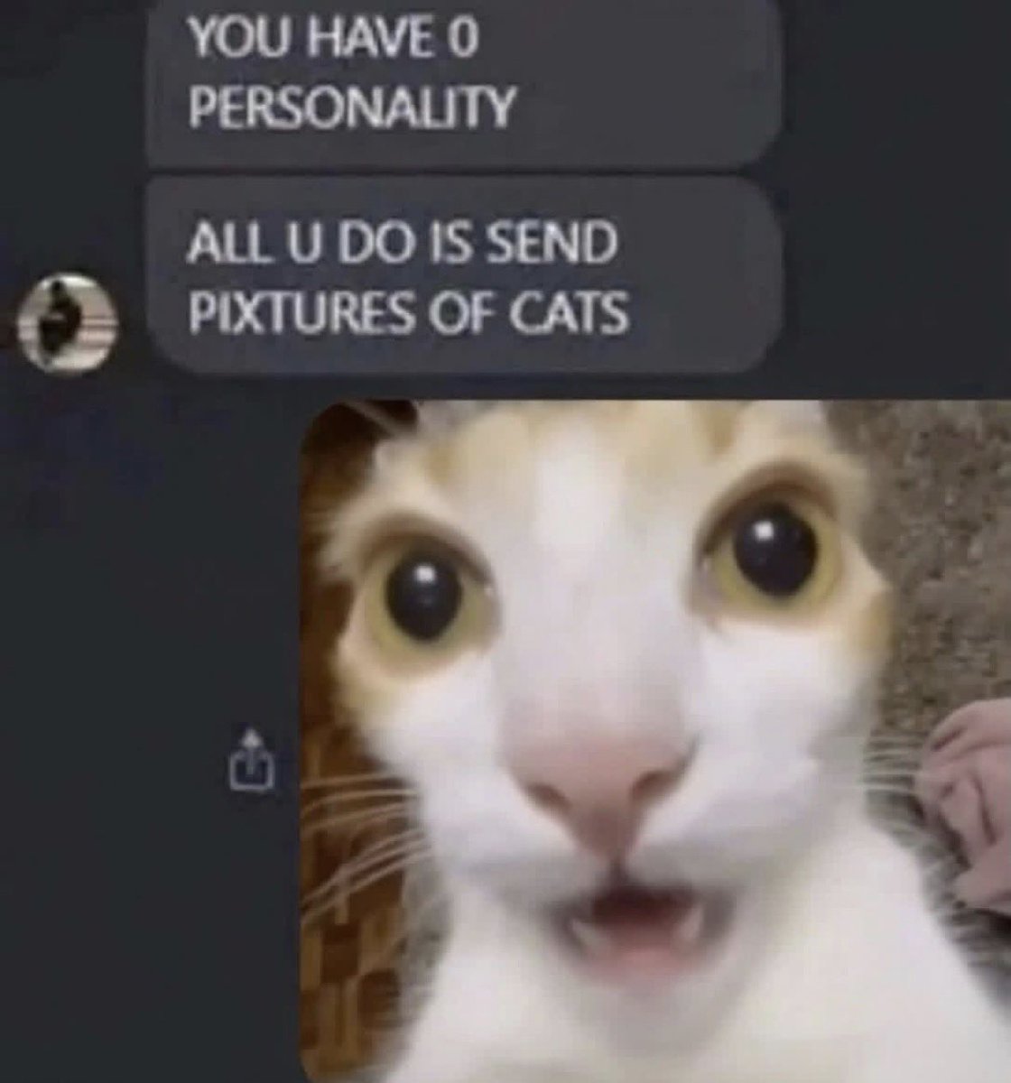 Respectful Memes tweet media