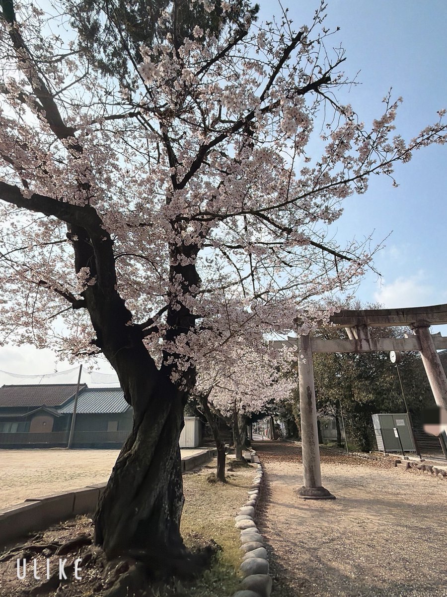 zukki-ni tweet media