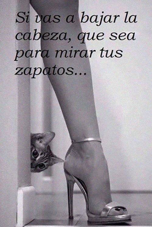 Tengo135's tweet photo. Hoy voy a la biblio, no se si ponerme tacones o no 🤔 https://t.co/IMndeZRSFj