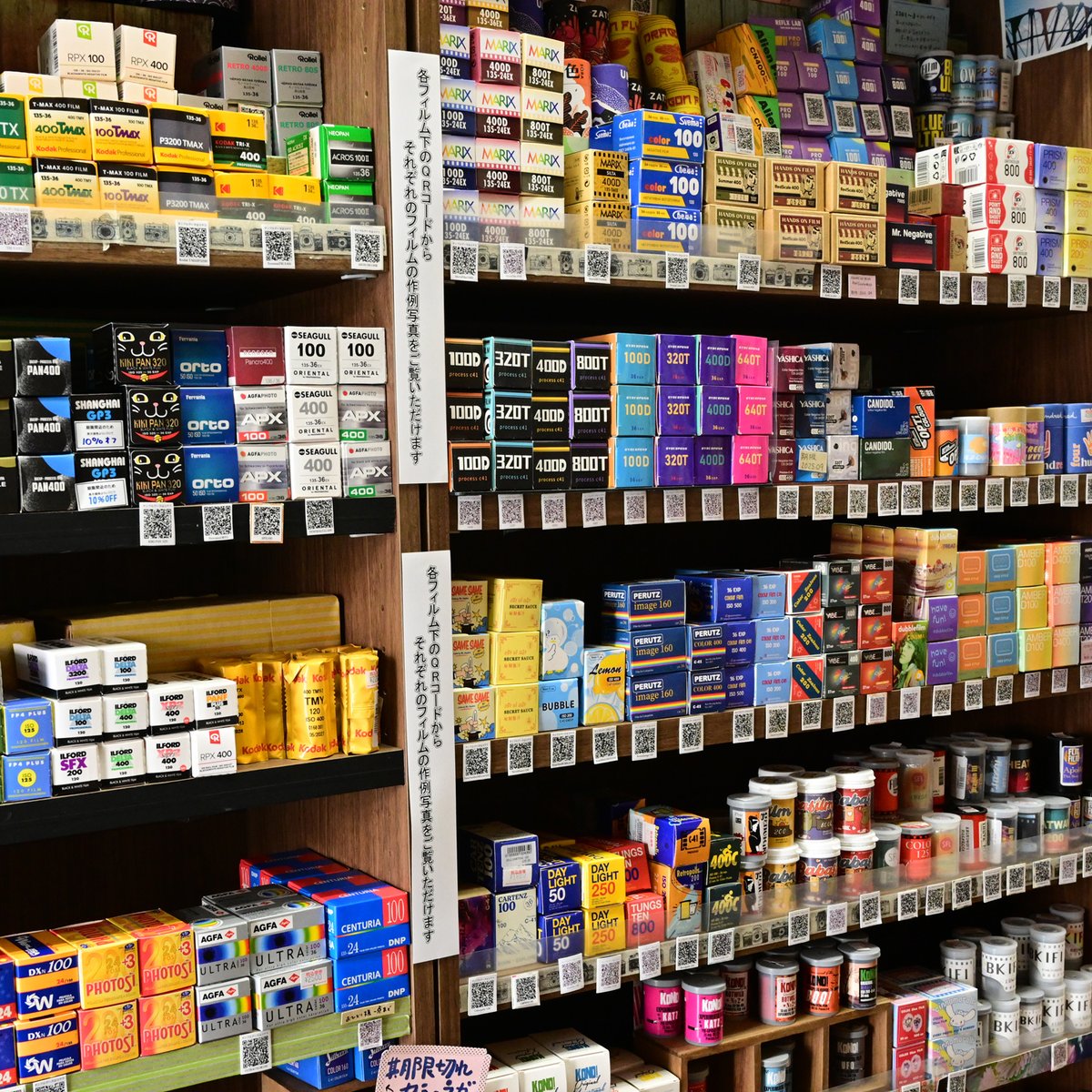 チャンプカメラ tweet media