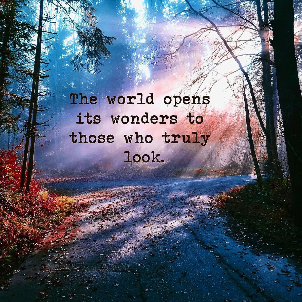 AWillbrandt1047's tweet photo. Sometimes looking closely is all it takes to see the extraordinary in the ordinary. ๐ณ๐ #MagicInTheOrdinary #ThinkBIGSundayWithMarsha #quotes https://t.co/bPOABiISa5