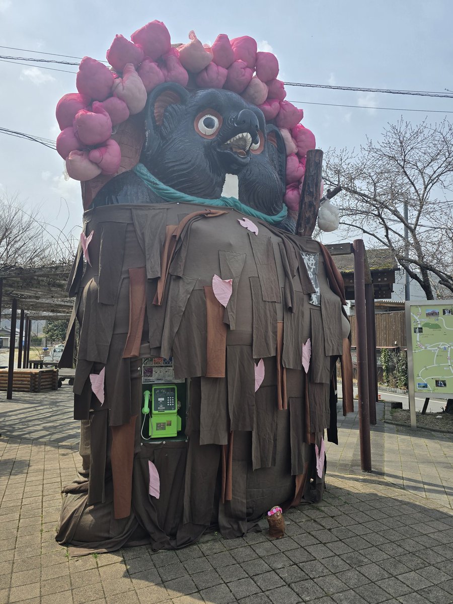 ✨️ひょ太郎✨️ tweet media