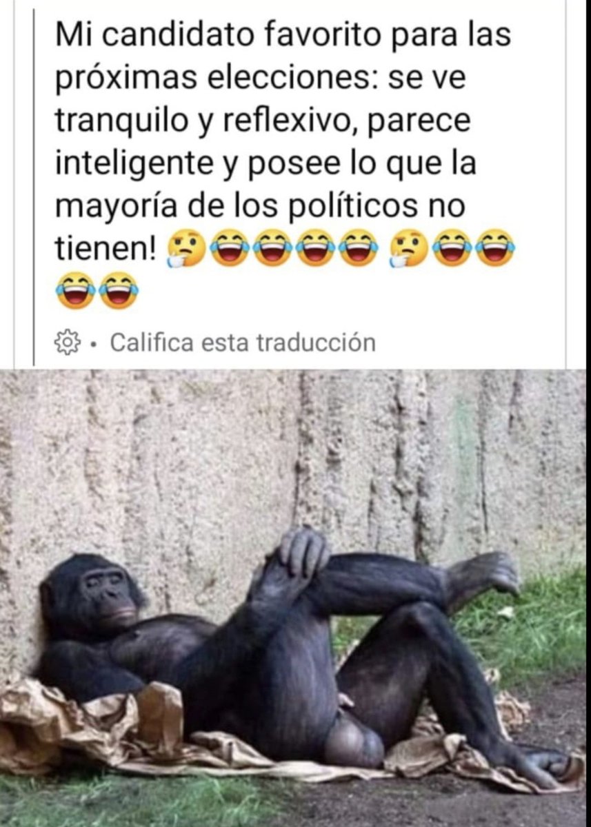 José Martiniano Duarte tweet media