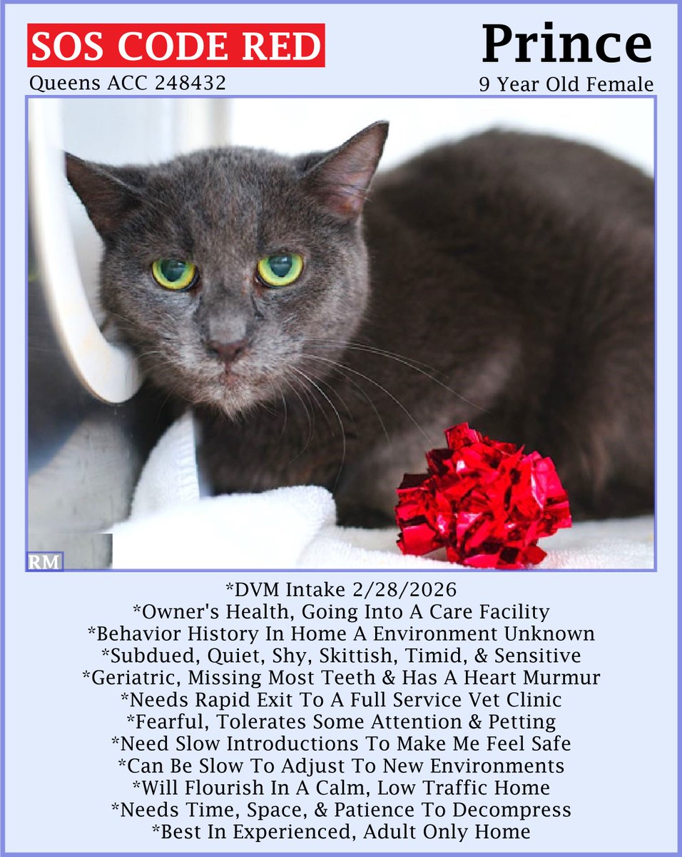 Renee' Martin tweet media