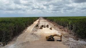 Resistencia Ciudadana 🇲🇽 tweet media