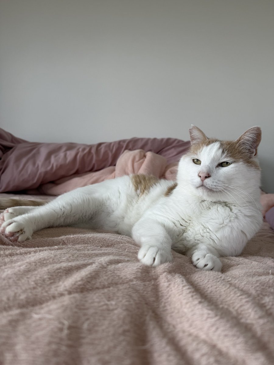 ワロリンス tweet media