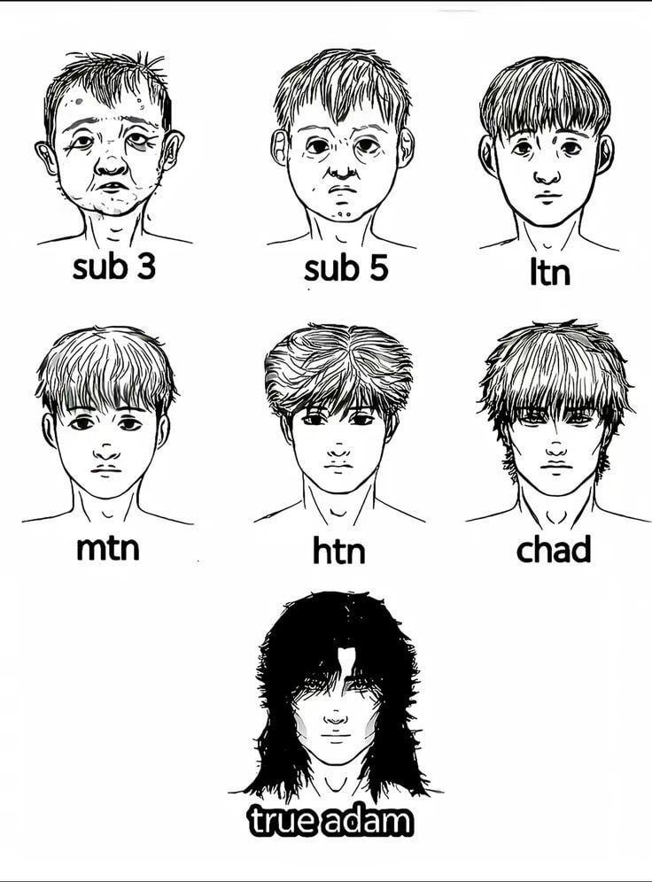 Life is hierarchical.
Not equal.
Never was.