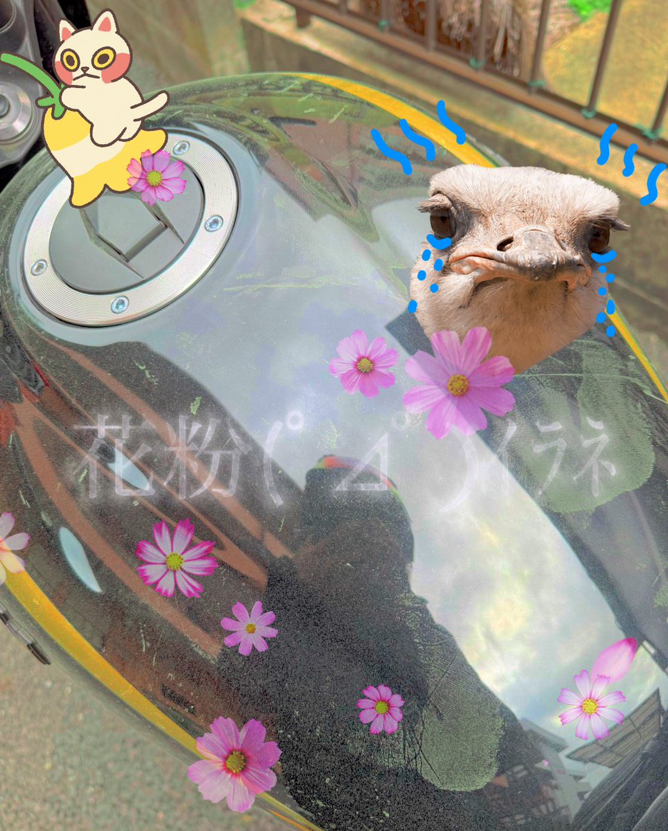 りりり️‎★草むしり検定5級 tweet media