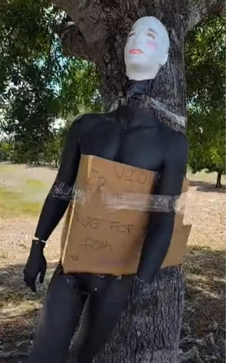 Unfortunat Cooky tweet media