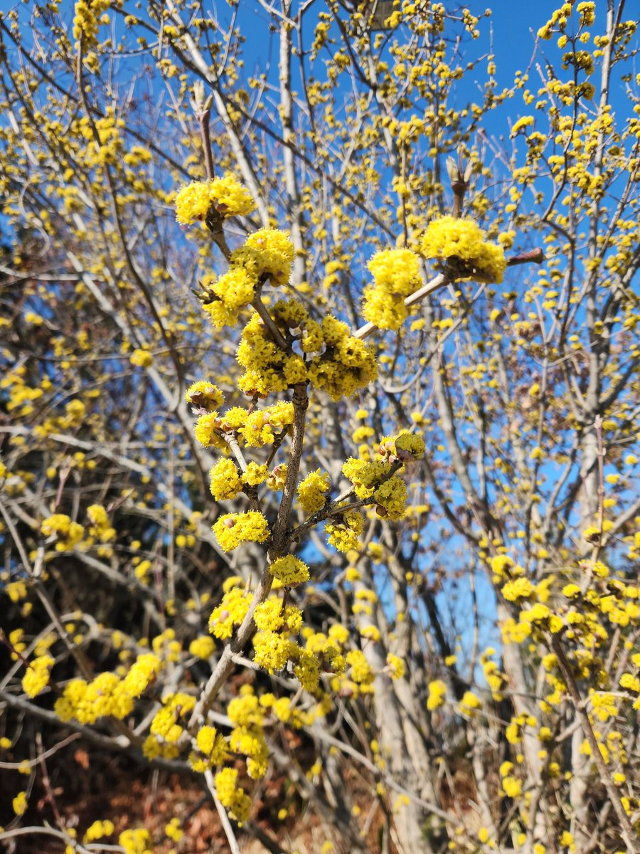 Mid-2000s Blackened Death Metal tweet media