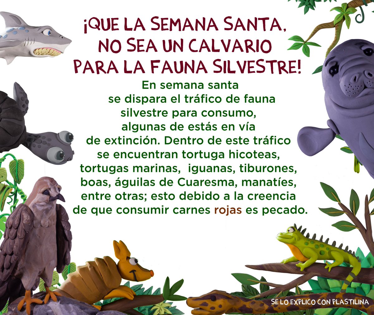 /RONY BAIDE/HD / ♻️ tweet media