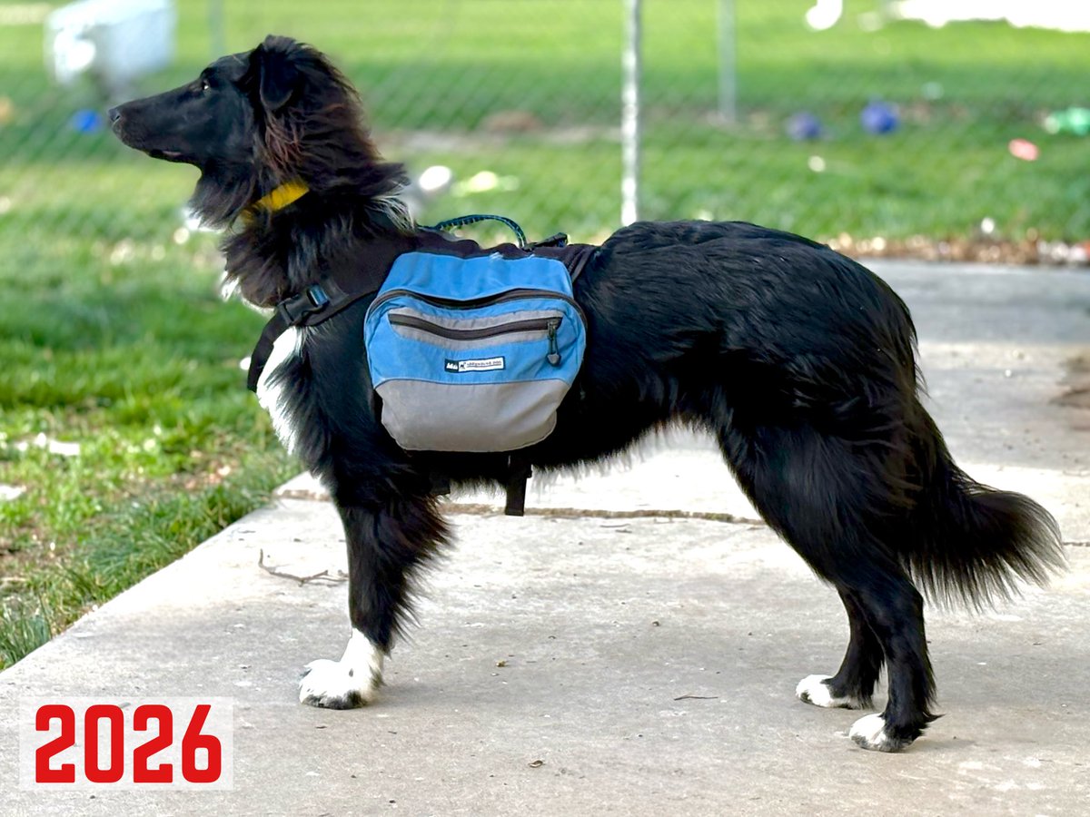 The Snoopervisor 2.0 /Moses (Wilma🌈) tweet media