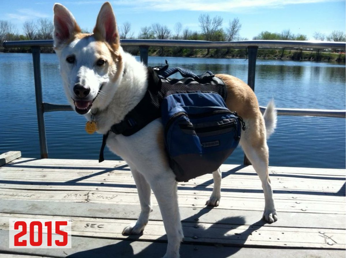 The Snoopervisor 2.0 /Moses (Wilma🌈) tweet media