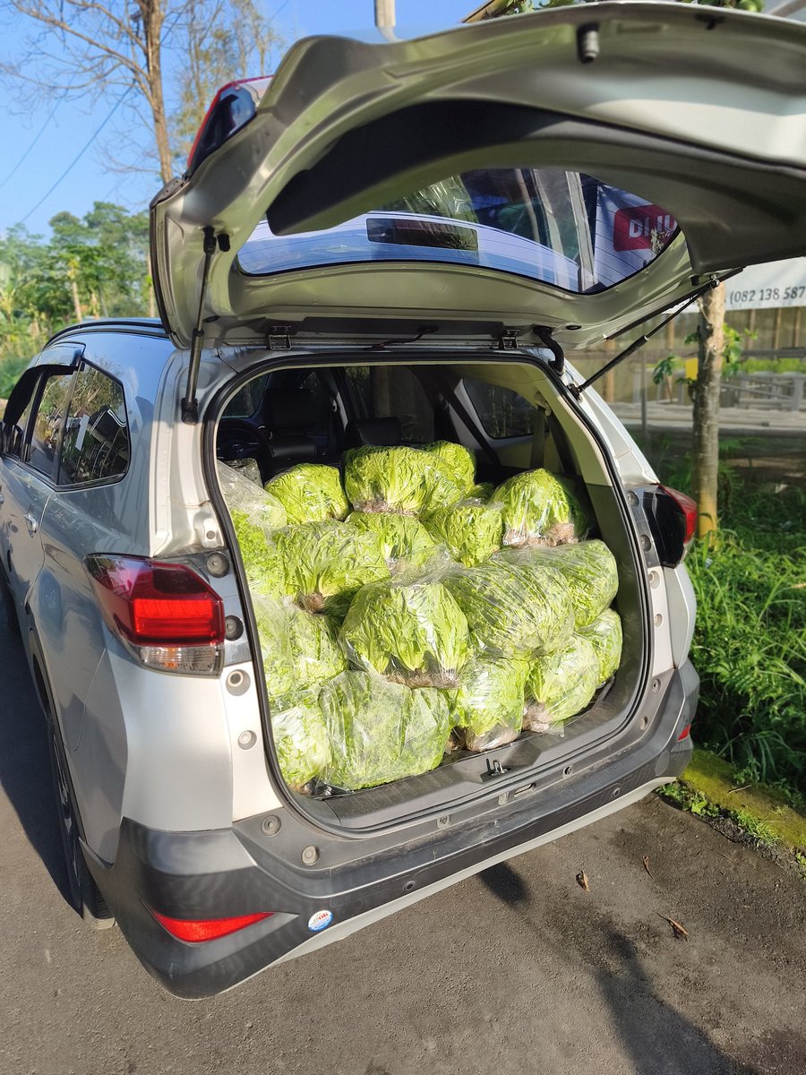 Bakul Selada tweet media