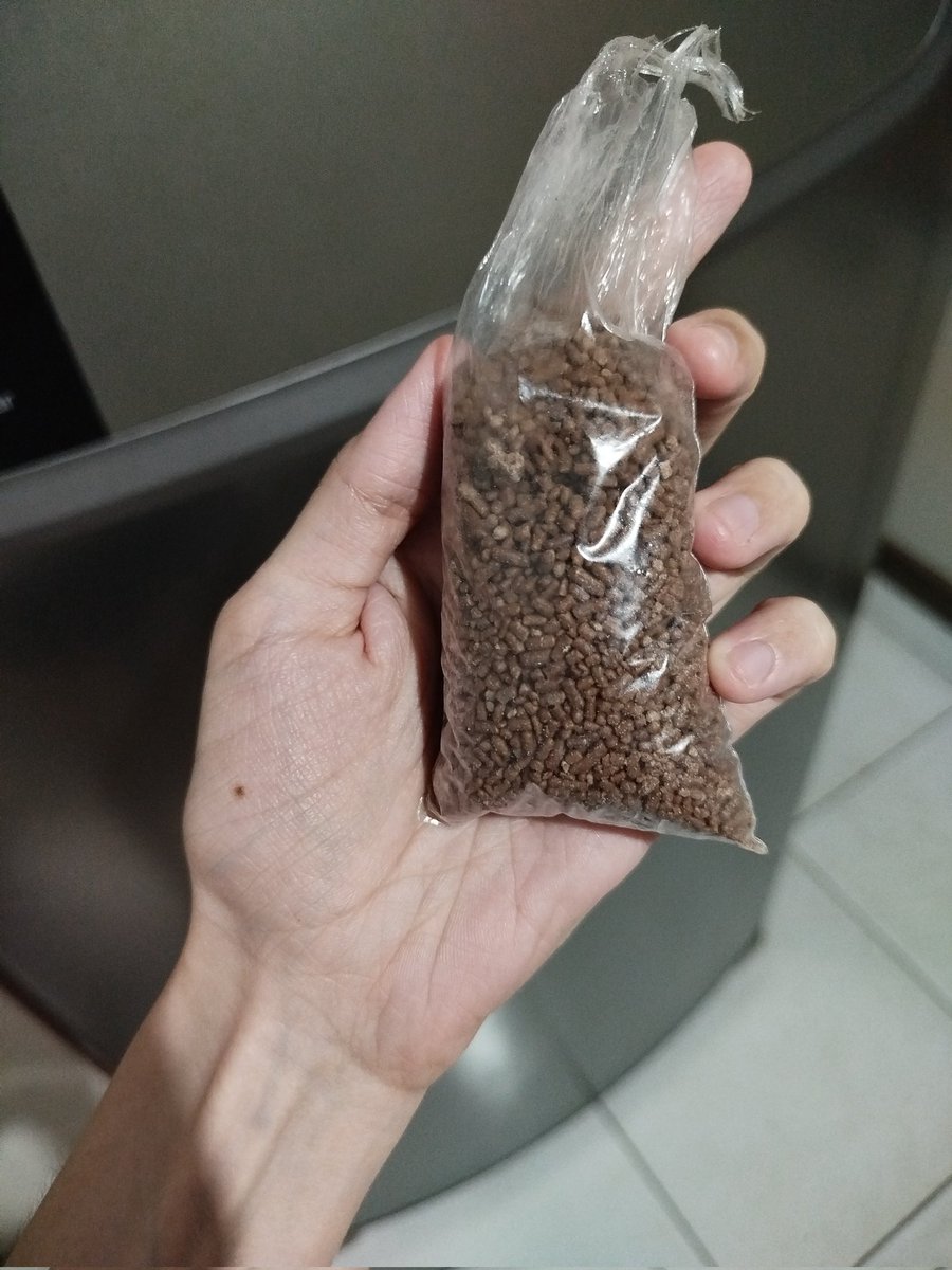 pink evil pou (-3,5/5) tweet media