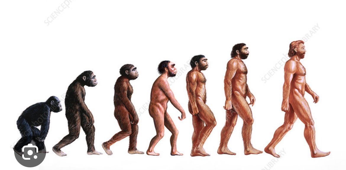 bryan_wayy's tweet image. Go to the zoo so you can see your relatives #apeman