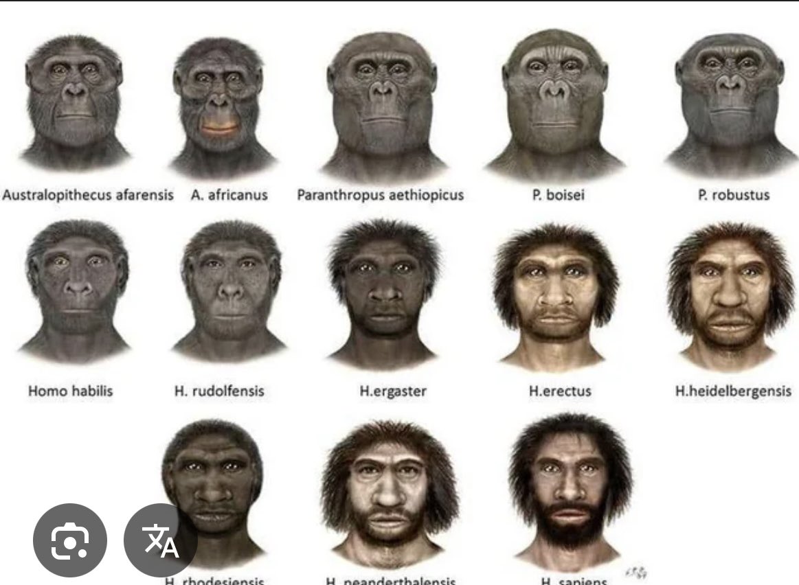 bryan_wayy's tweet image. Go to the zoo so you can see your relatives #apeman