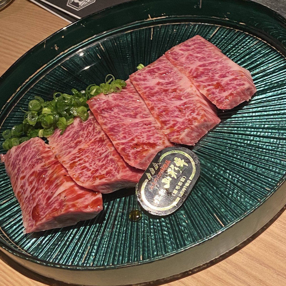 橋本知加子🦖🦕 tweet media