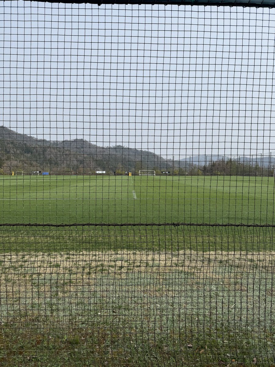 棚からぼたもち❕ tweet media