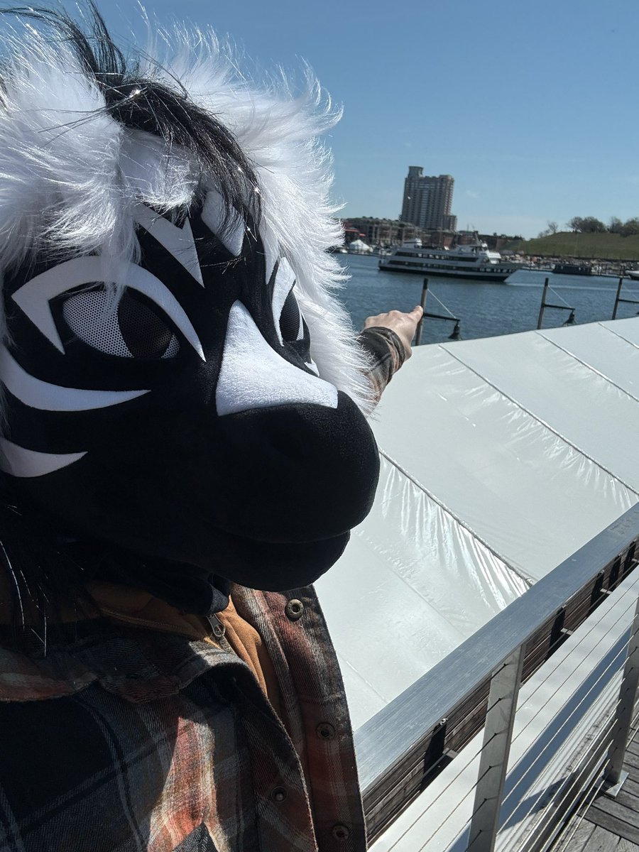 z33b3r's tweet photo. Last day of #Furthermore some of the gang said ‘Let’s do boats and shit,’ so we went and did shit with boats! https://t.co/tfXUf3GwDx